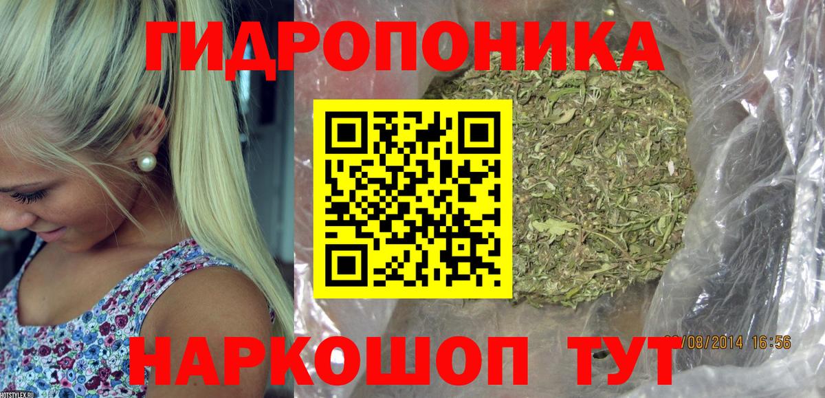 Марихуана конопля  Бошки марихуана AK-47  Якутск  Каннабис тримм  Вход с VPN  Марихуана план 